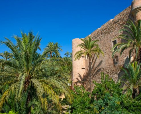 Vakantiehuis Casa Oase El Raso - Elche